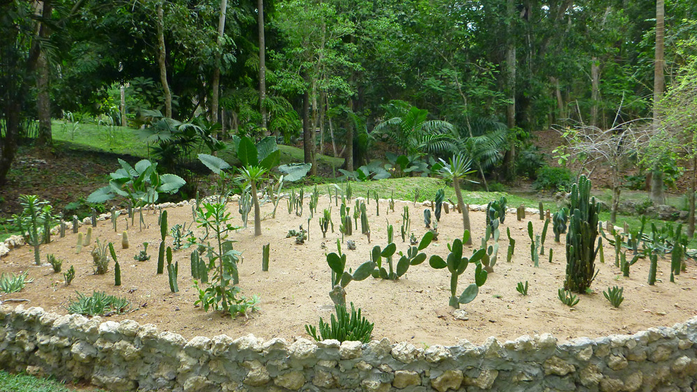Botanical Gardens - Cartagana Colombia