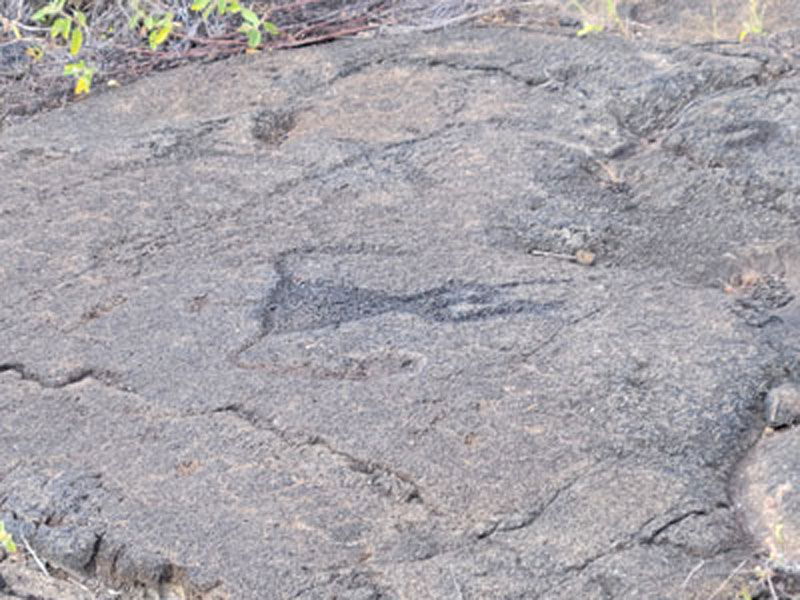 Petroglyphs Volcano National Park Hawaii